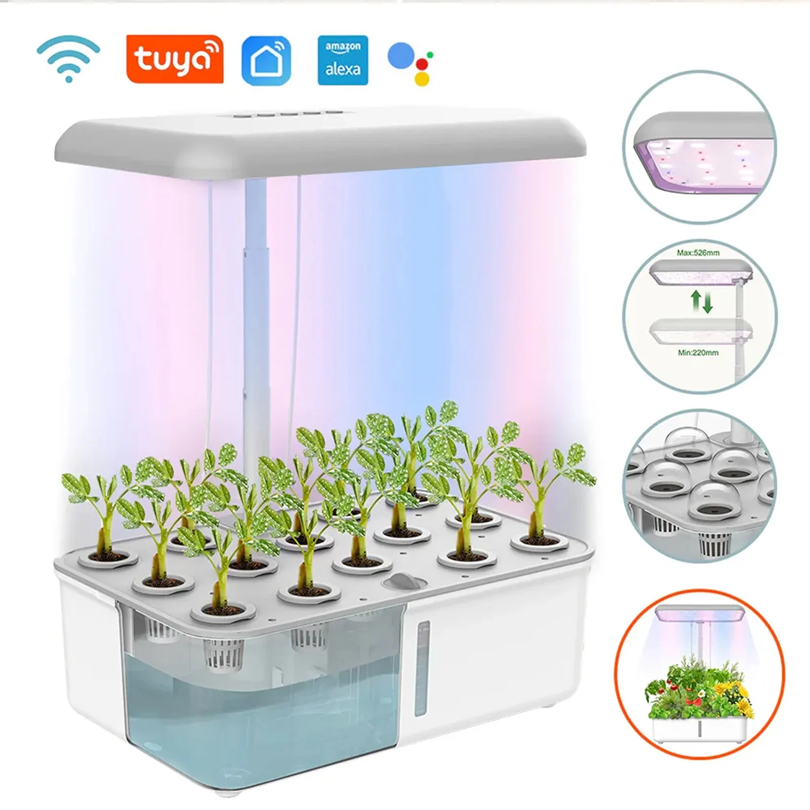 Smart Garden Click And Grow - Tuya ไวไฟเครื่องปลูกต้นไม้ไฮโดรโปนิกส์, ระบบปลูกพืชไร้ดินไฟ LED ปลูกต้นไม้อัจฉริยะแบบรดน้ำเองสำหรับในบ้านและสวน