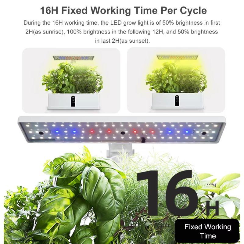 ระบบปลูกพืชไฮโดรโพนิกส์อัจฉริย - Smart Led Garden บทวิจารณ์และราคา